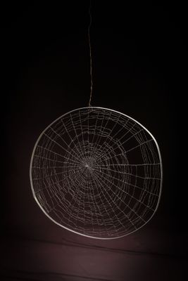 a close up of a spider web hanging from a ceiling