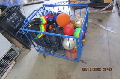 un caddie bleu rempli de balles de toutes sortes