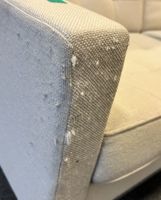 226 Florence KNOLL (1917-2019) (photo 5)