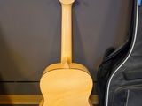 guitars are lined up against a wall in a room