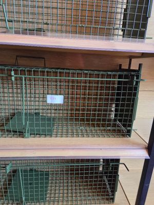 two cages that are on the shelves in the store