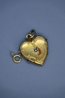 une image représentant un cadenas doré en forme de cœur orné d'une fleur