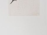 deux dessins représentant un oiseau survolant une étendue d'eau