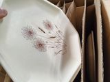 a person holding a plate in a cardboard box