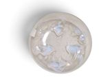 a white plate with blue flowers on it on a white surface