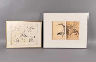 deux dessins encadrés représentant des oiseaux et des fleurs sur un fond gris