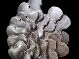 a close up of a silver object on a black background