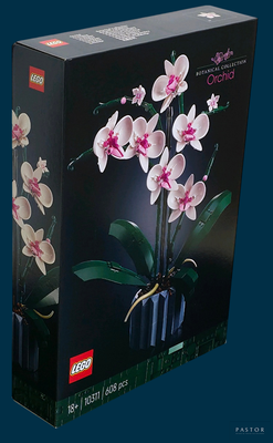 une boîte contenant un bouquet de fleurs