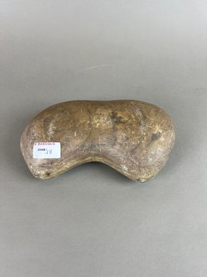 un gros plan d'un rocher sur lequel est accrochée une étiquette