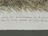 Photo 4/6 du lot