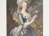 portrait of a lady in a blue dress holding a rose