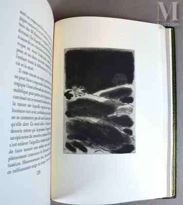 un livre ouvert avec l'image d'un chat dessus