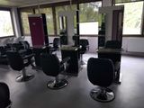 many chairs in a room with a lot of windows