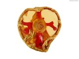 une bague en or ornée d'un motif rouge et jaune