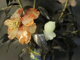 a vase with flowers in it sitting on a table