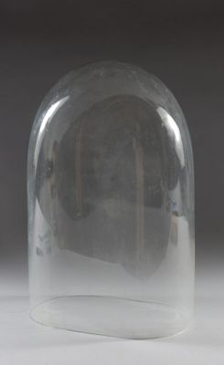 un dôme en verre transparent posé sur un socle en bois, posé sur une table