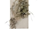 a plant that is growing out of a piece of paper