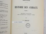 Photo 3/3 du lot