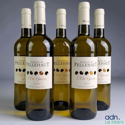 three bottles of white wine sitting next to each other on a table
