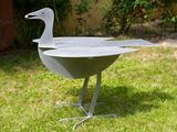 a white bird that is standing in the grass