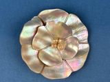pearl flower brooch on a blue background
