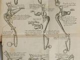 an old book with a bunch of drawings of human arms and legs