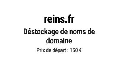 Nom de domaine reins.fr. Catégorie: Santé et médical.