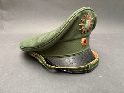 an image of a green hat with a star on it