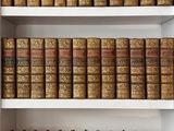 des livres rangés sur une étagère dans une bibliothèque qui regorge de livres anciens