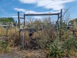a fence that has a bunch of weeds growing out of it
