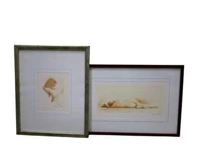 two framed pictures of a cat laying on the ground next to each other