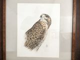 la photo d'une photo représentant un oiseau dans un cadre