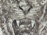 a drawing of a tiger that is on a piece of paper