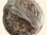 a loaf of bread wrapped in plastic on a white surface
