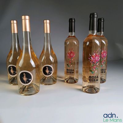 plusieurs bouteilles de vin sont alignées sur une table