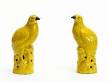 deux oiseaux jaunes perchés sur une souche d'arbre