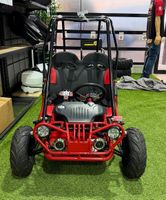 Buggy XTRM 81 212 cc Bolt, 4 temps, automatique - Véhicule n… (photo 6)