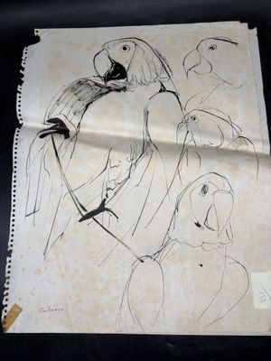 un dessin représentant un perroquet perché sur une feuille de papier