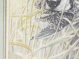 Photo 4/8 du lot