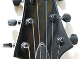 a close up of a guitar neck with a fretset