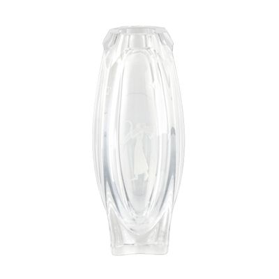 un vase en verre transparent orné d'un motif