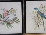 two framed pictures of birds sitting on a tree branch