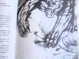 le dessin d'un tigre sur une page d'un livre