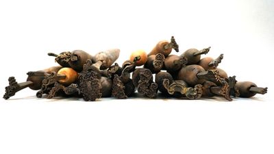 a pile of nuts on a white surface with a white background
