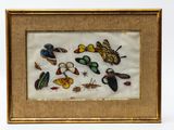 an image of a picture of a picture of a picture of a group of insects