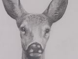 a drawing of a deer with a mustache on it ' s nose
