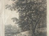 une vieille photo montrant un arbre dans un champ, avec un chien couché par terre