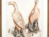 two birds that are sitting on the rocks