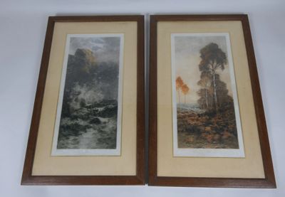 two framed pictures of trees and a river in a wood frame