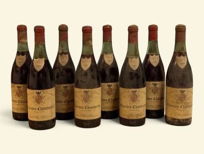 six bouteilles de vin sont alignées sur une surface blanche